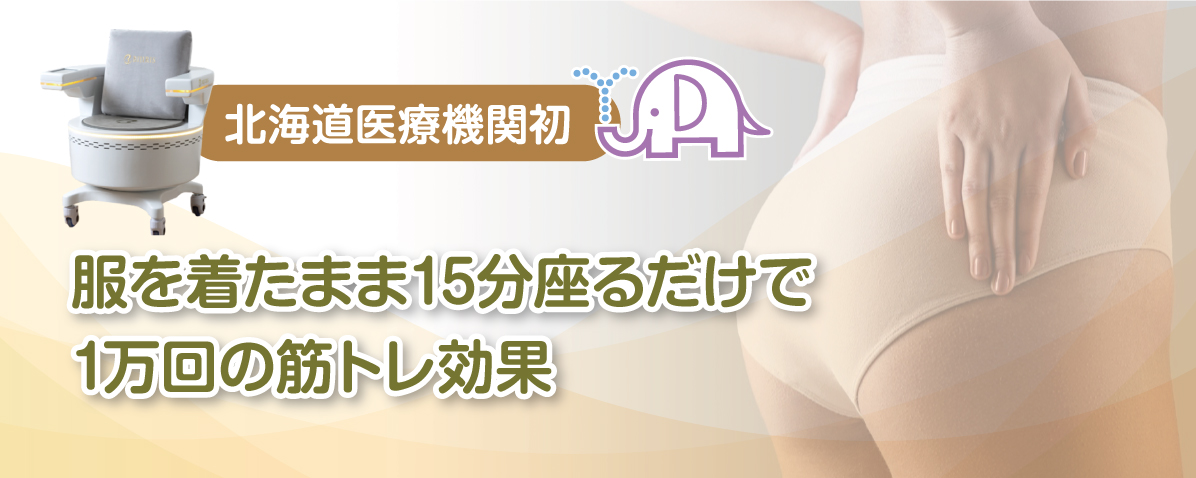 ビジリス(骨盤底筋トレーニングチェア)