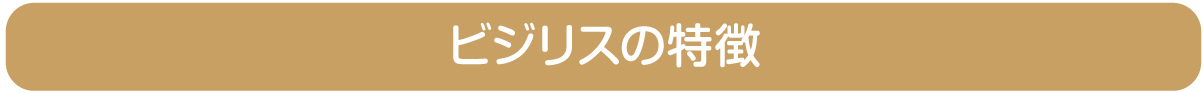 ビジリス(骨盤底筋トレーニングチェア)